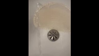 Florida Bar Piss - Dane Coxx